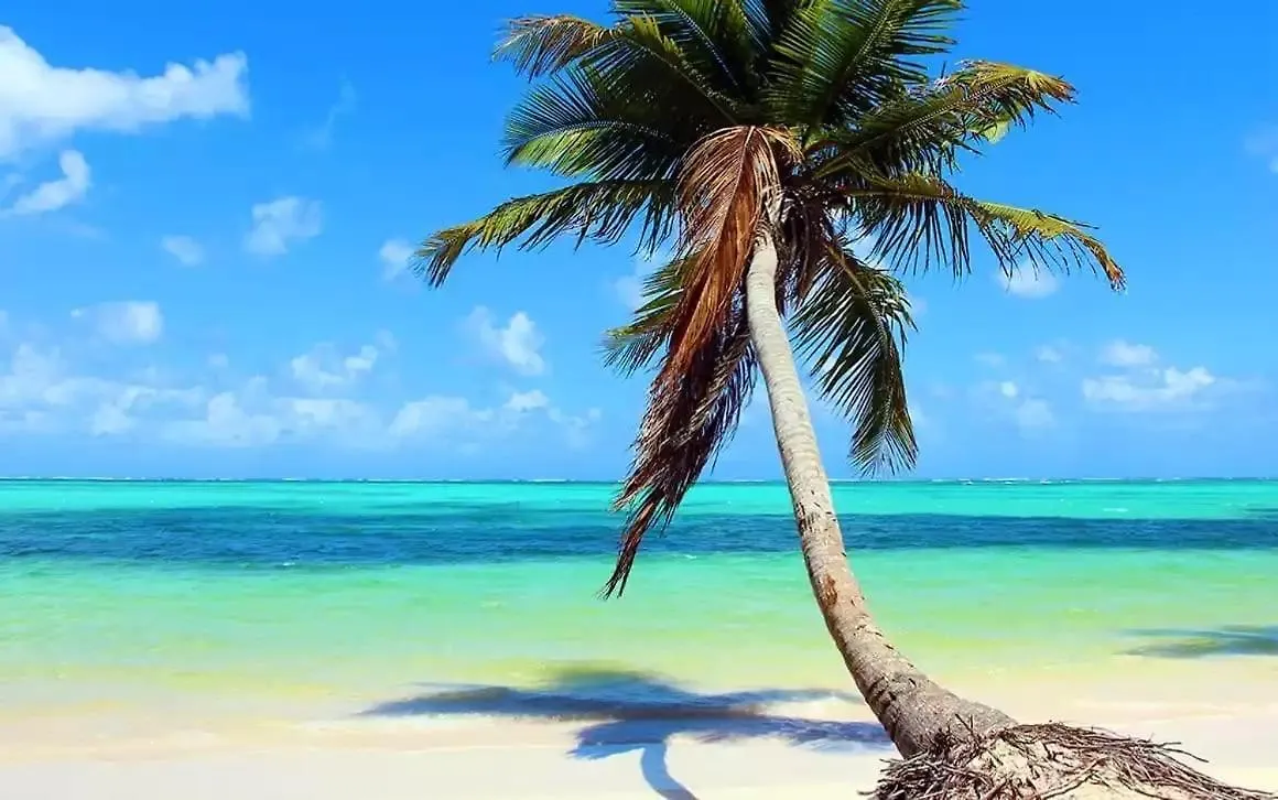 Villa Kambusa Appart. Elisium Las Galeras Dominican Republic