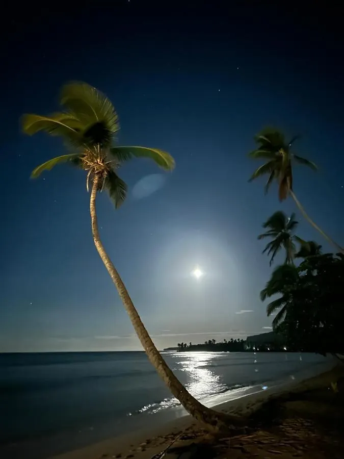 Villa Kambusa Appart. Elisium Las Galeras 0*,